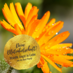 Hol-dir-deine-Blütenbotschaft Hol-dir-deine-Blütenbotschaft
